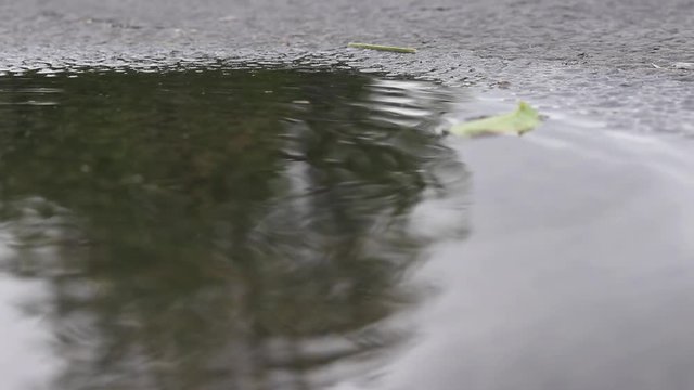 Rain drops in puddle reflection of storm in background.