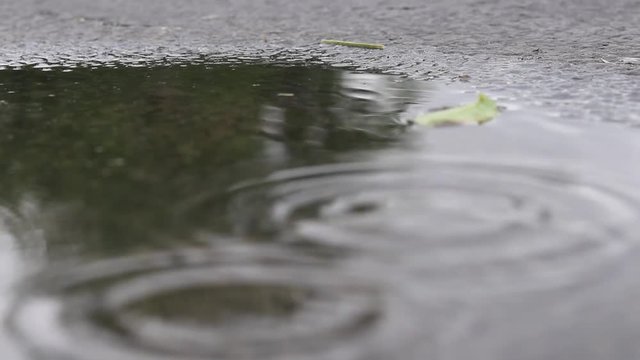Slow motion clip of raindrops on puddle with a reflection of storm in background. Wind and rain. Filmed in 60fps, slowed 1/2 and exported 24fps.