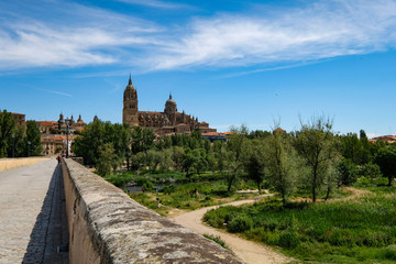 Fototapeta na wymiar Salamanca as seen from its old bridge