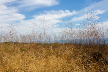 rancho palos verdes California 