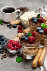 Classic tiramisu dessert with blueberries and raspberries in a glass on concrete background