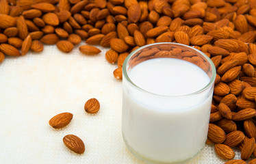 The seeds of many almonds placed with a glass of milk