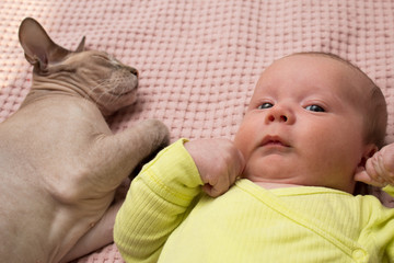 baby with a cat on a pink blanket