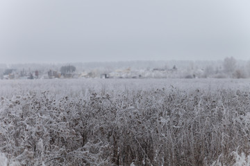 Russian provincial natural landscape in gloomy weather