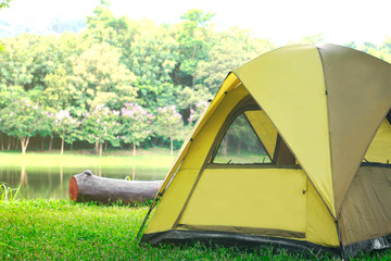 Camping green tent in forest near lake