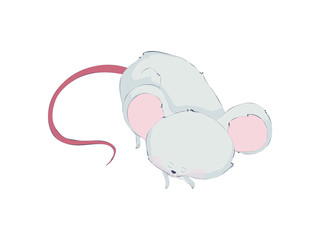 Cute rat asleep. Vector illustration on white background.