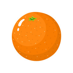 Fresh whole orange fruit isolated on white background. Tangerine. Organic fruit. Cartoon style. Vector illustration for any design.
