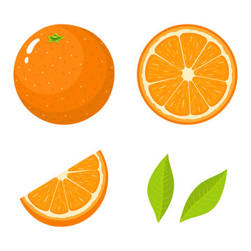 Set of fresh whole, half, cut slice and leaves orange fruit isolated on white background. Tangerine. Organic fruit. Cartoon style. Vector illustration for any design.