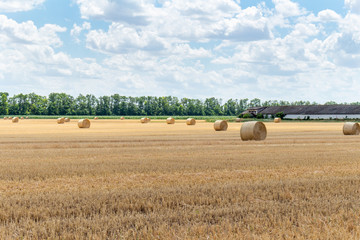 harvested cereal wheat barley rye grain field, with haystacks straw bales stakes round shape on the cloudy blue sky background, agriculture farming rural economy agronomy concept