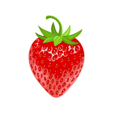 Fresh 3d red ripe strawberry isolated on white background. Realistic sweet food. Organic fruit. Cartoon style. Vector illustration for any design.