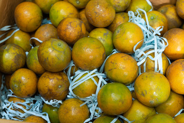 Orange fruits pack in paper box background