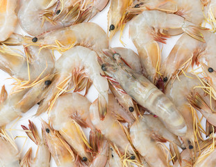 Raw fresh shrimps,prawns background