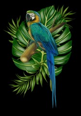 Hand drawn  allium botanical tropical hummingbird parrot leaf illustration 