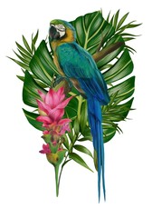 Hand drawn  allium botanical tropical hummingbird parrot leaf illustration 