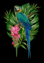 Hand drawn  allium botanical tropical hummingbird parrot leaf illustration 