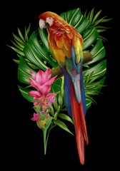 Hand drawn  allium botanical tropical hummingbird parrot leaf illustration 