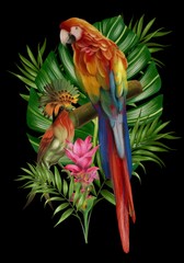 Hand drawn  allium botanical tropical hummingbird parrot leaf illustration 