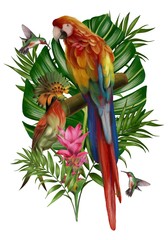 Hand drawn  allium botanical tropical hummingbird parrot leaf illustration 