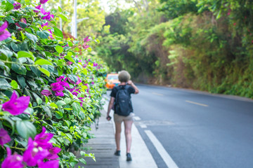 Fototapeta na wymiar A young girl traveler with a backpack is on an asphalt road. Along the edges of the road is dense tropical exotic vegetation. Rear view, blur.