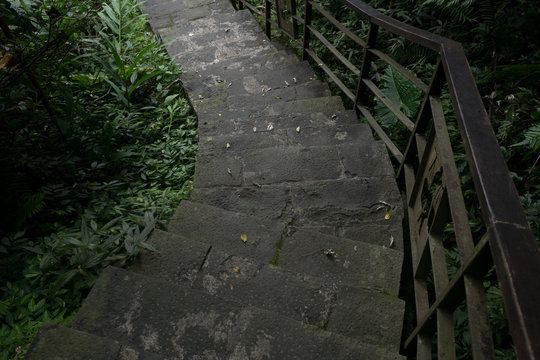 A stone staircase in the dark forest