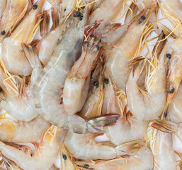 Raw fresh shrimps,prawns background