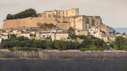 Fototapeta premium lavender field in front of the castle of Grignan in Drôme provençale