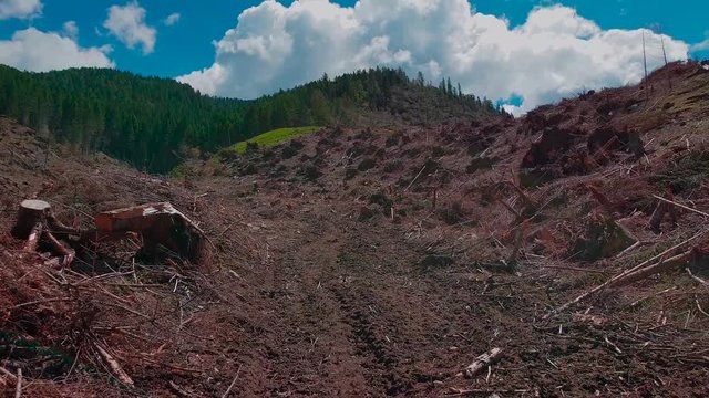 Passo Redebus Trentino dopo Vaia