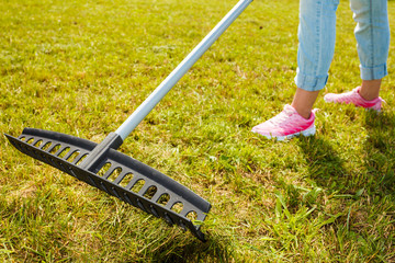 Person raking leaves