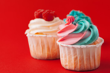Set of various  fondant cupcakes ready to be eaten - bright and colorful set