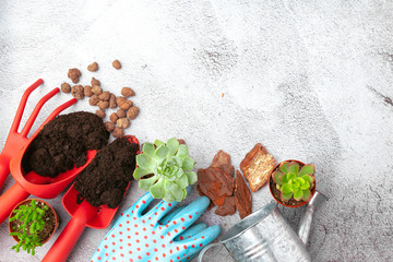 Gardening tools and top view, garden manteinance