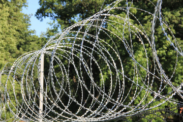 Barbed wire steel fence in the border zone