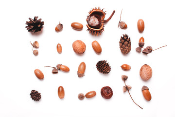 Composition of chestnut, pine cones, acorns on a white background. creative concept of autumn.