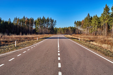 Fototapeta premium Asphalt road in the forest with a turn