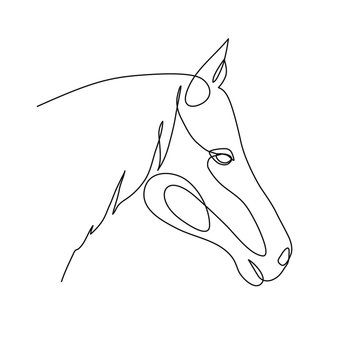 recommend clip art: Head horse continuous line drawing art. Editable line. Vector logo, icon, flyer 