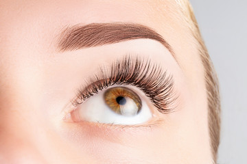 Female eye with long eyelashes. Classic 1D, 2D eyelash extensions and light brown eyebrow close up. Eyelash extensions, lamination, biowave, microblading concept