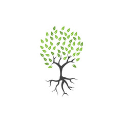 Obraz premium Tree clip art graphic design template vector isolated