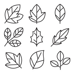 leaves icon set, leaf design for natural and green logo concept.