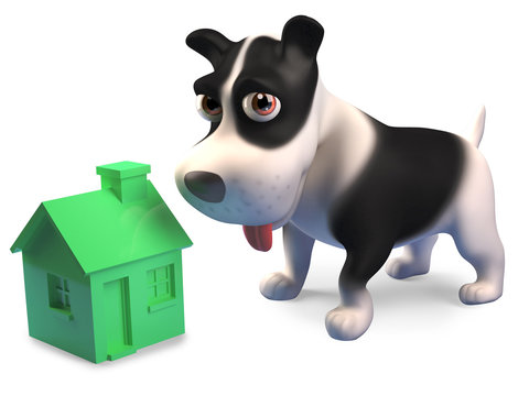 Little puppy dog plays with a small green house, 3d render