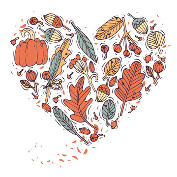 Colored hand draw plant and leaves heart shape. Engraved style greeting card. Autumn harvest festival. Vector illustration. © oxygen_8