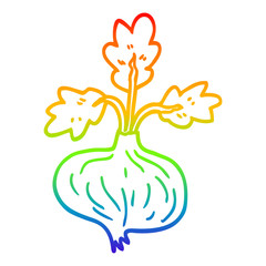 rainbow gradient line drawing cartoon old onion