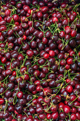 Red cherries in the market