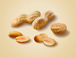 Dried peanut with shell
