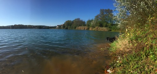 See Baden Hund Natur