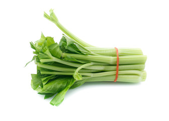 fresh celery isolated on white background