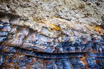 Fragment of sedimentary rock