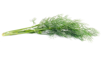 Green dill isolated on white background