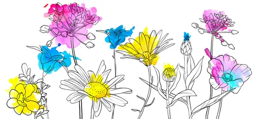 Küchenrückwand glas motiv vector drawing flowers © cat_arch_angel