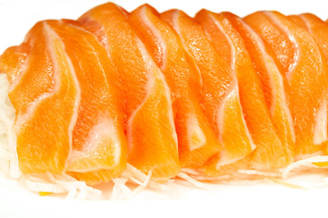 Salmon fish Japanese Food
