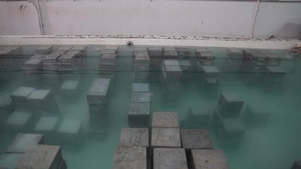 Water Absorption Test of Bricks, determination of durability property of bricks such as degree of burning, quality and behavior of bricks in weathering, soaking bricks in the water dolly in shot