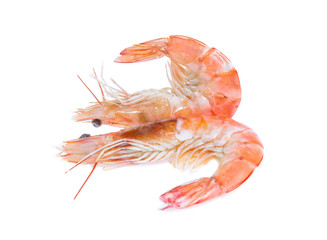 Shrimp isolated on the white background